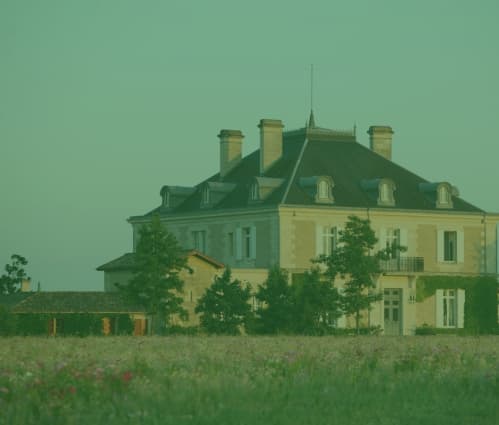 Q2 2026 Fine Wine Report - Featured image