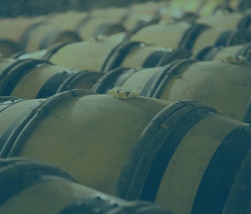 Wine investment: The complete 2026 guide - Featured image