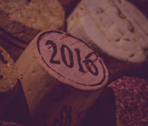 The 2016 vintage: what investors need to know - Featured image