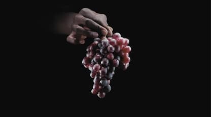 Michelin’s Wine ratings debut with a reach no critic can match, but an uncertain impact for investors - Featured image