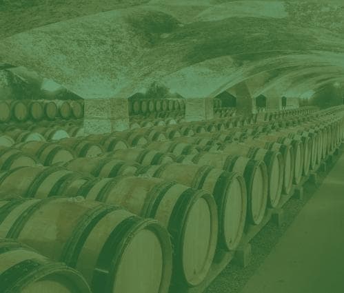 Bordeaux 2020 | Vintage Report - Featured image