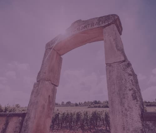 Burgundy | Regional Report - Featured image