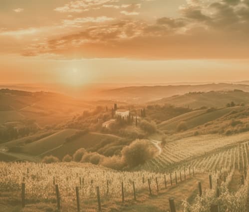 Special US Report – Fine wine: the journey from passion asset to mainstream asset class - Featured image