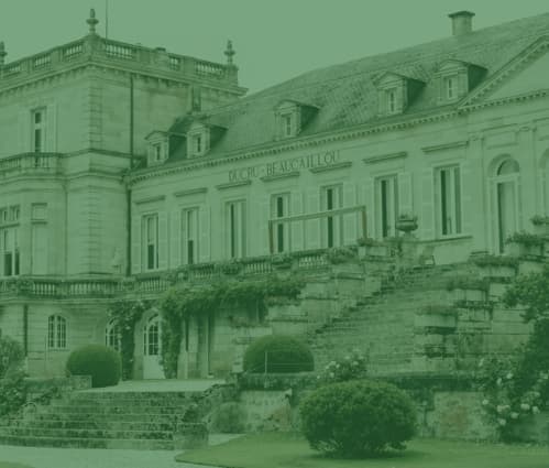 Bordeaux Regional Report - Featured image