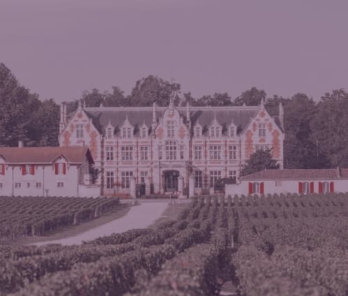 WineCap Wealth Report 2025: US Edition - Featured image