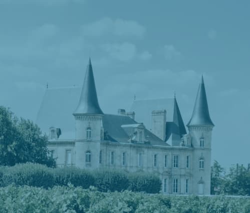 WineCap Wealth Report 2025: UK Edition - Featured image