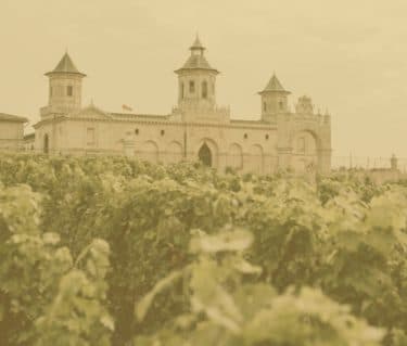 WineCap Wealth Report 2024: US Edition - Featured image