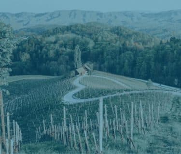 Special UK Report – Fine wine: the journey from passion asset to mainstream asset class - Featured image