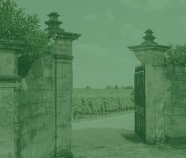 WineCap Wealth Report 2024: UK Edition - Featured image