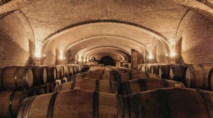 Burgundy En Primeur 2024 and the current market - Featured image
