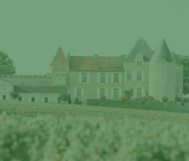 Fine Wine Taxation | Guide - Featured image