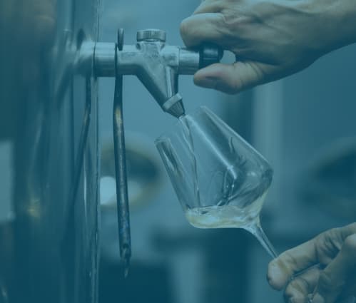 White wine types: Grapes, styles and investment-worthy bottles - Featured image