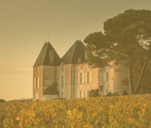 Q1 2026 Fine Wine Report - Featured image