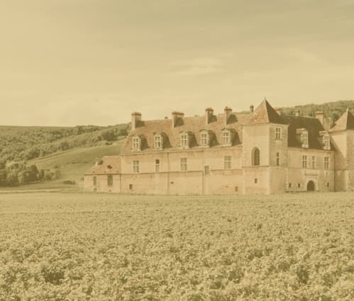 WineCap Wealth Report 2026: UK Edition - Featured image