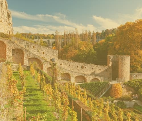 Frontier viticulture: The world’s most surprising wine-producing regions - Featured image