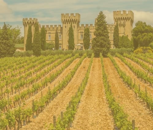 Discover Chateauneuf-du-Pape in 10 facts - Featured image