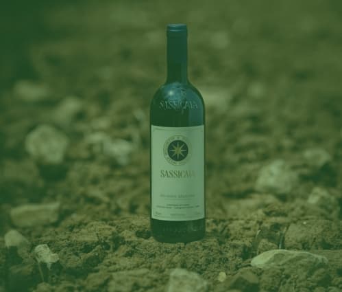 Sassicaia: The Super Tuscan that changed Italian wine forever - Featured image