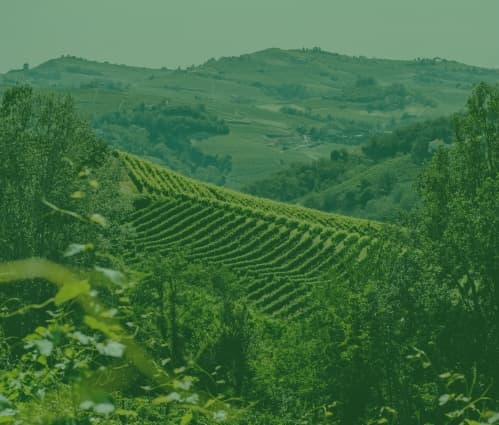 What are appellation laws and why do they matter to wine investors? - Featured image