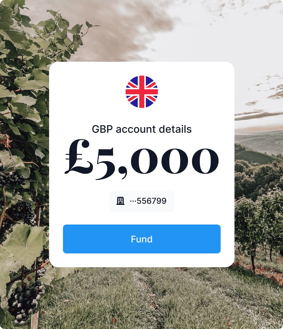 How much to invest in fine wine