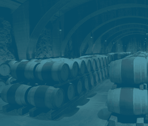 Bordeaux 2019 | Vintage Report - Featured image