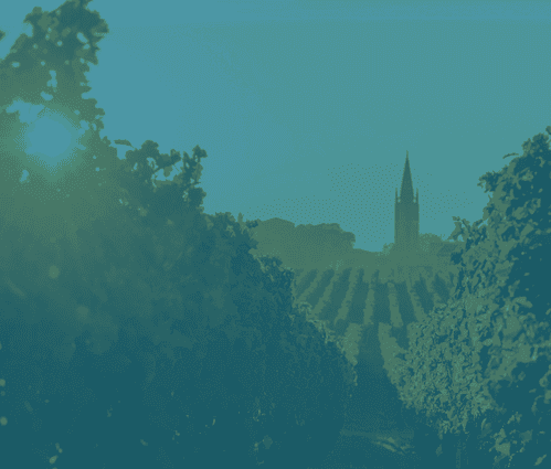 Insights from leading Bordeaux fine wine producers - Featured image