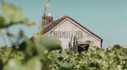 Louis Roederer’s Burgundy deal points to where fine wine capital is heading - Featured image