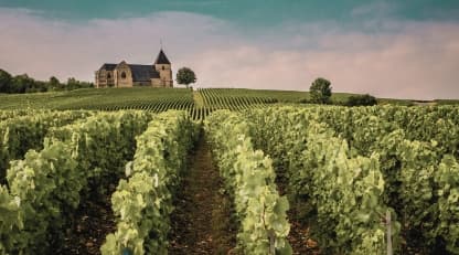Champagne caps 2026 harvest at its lowest yield since the pandemic - Featured image