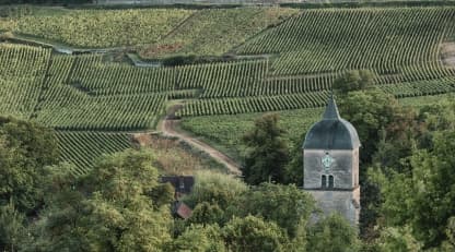Burgundy’s most expensive wines and the record vineyard prices driving them - Featured image